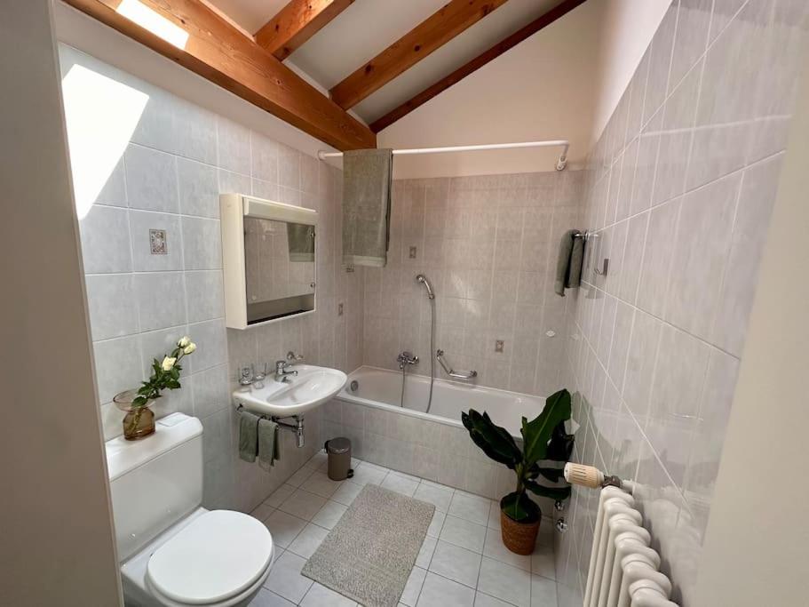 Cozy Ascona: attico mansardato
