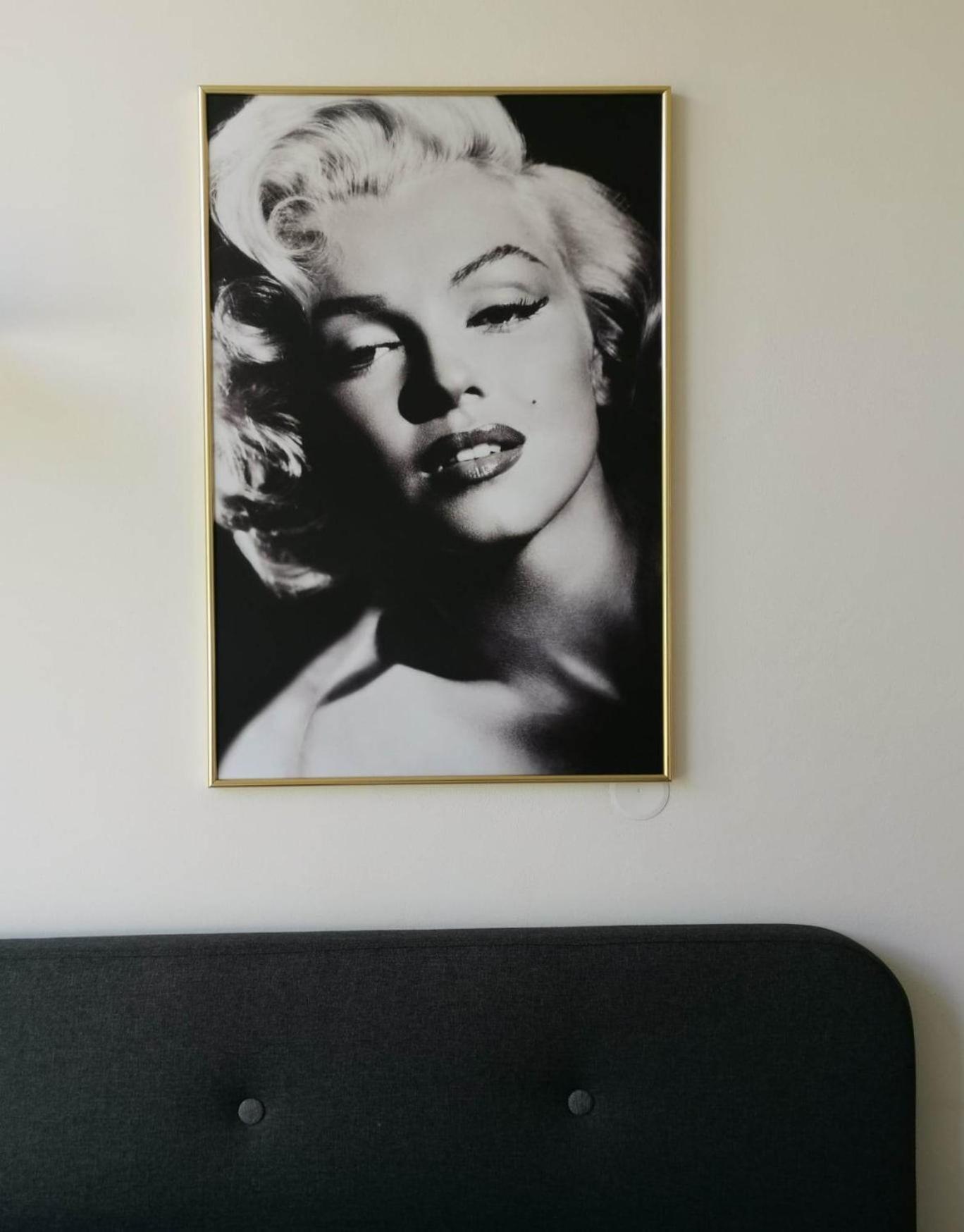 Hollywood Dream
