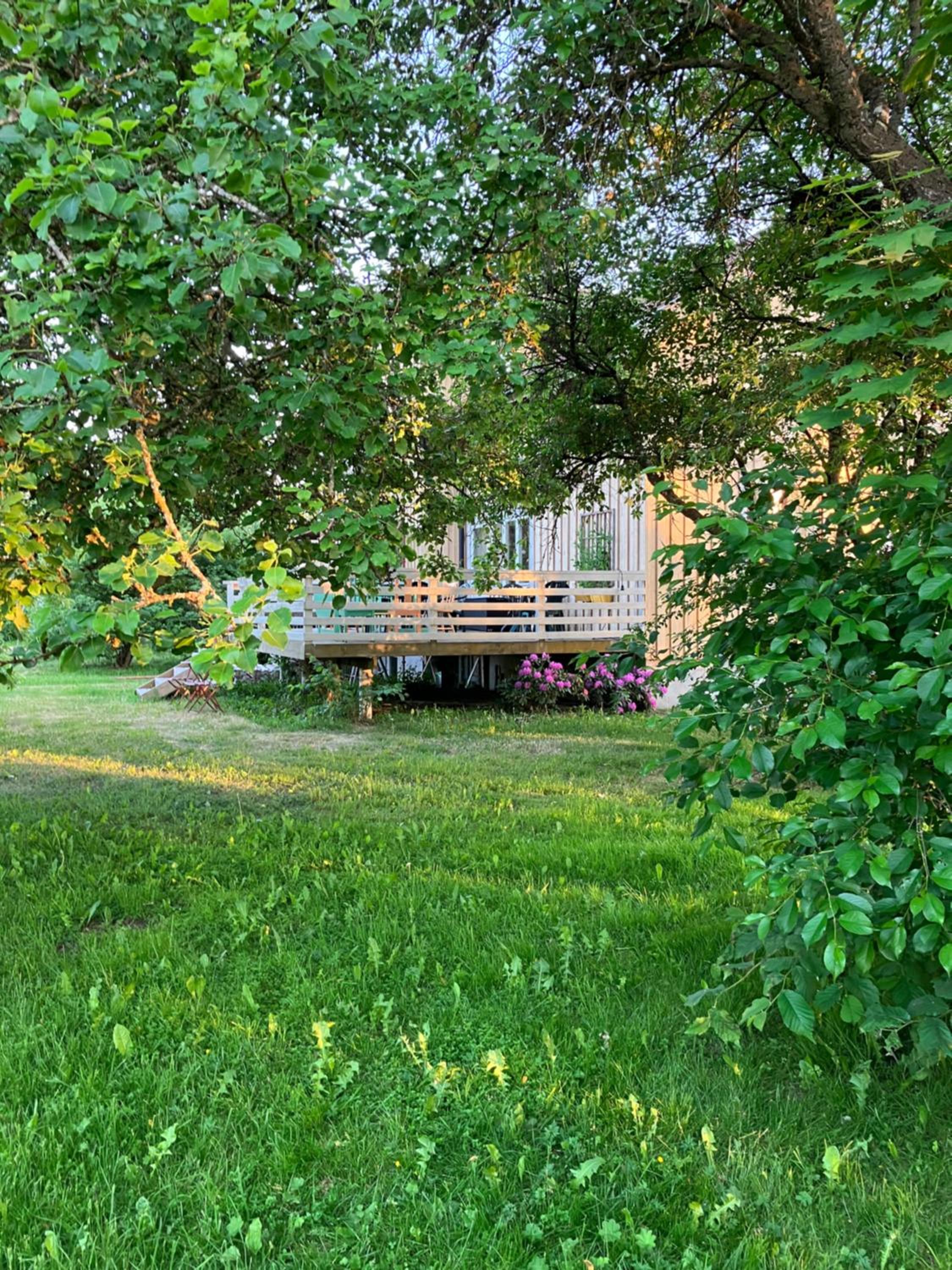 Photo 17