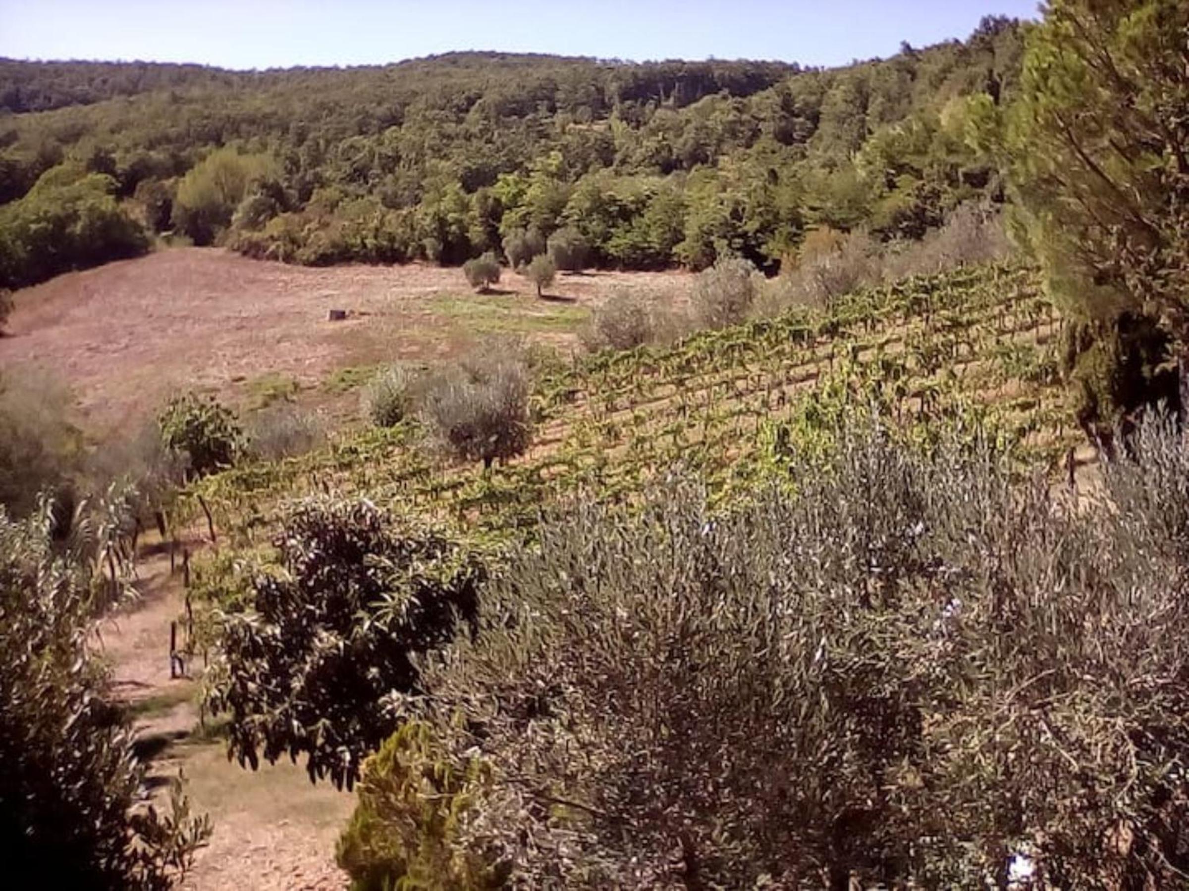 Querciagrossa da Dora