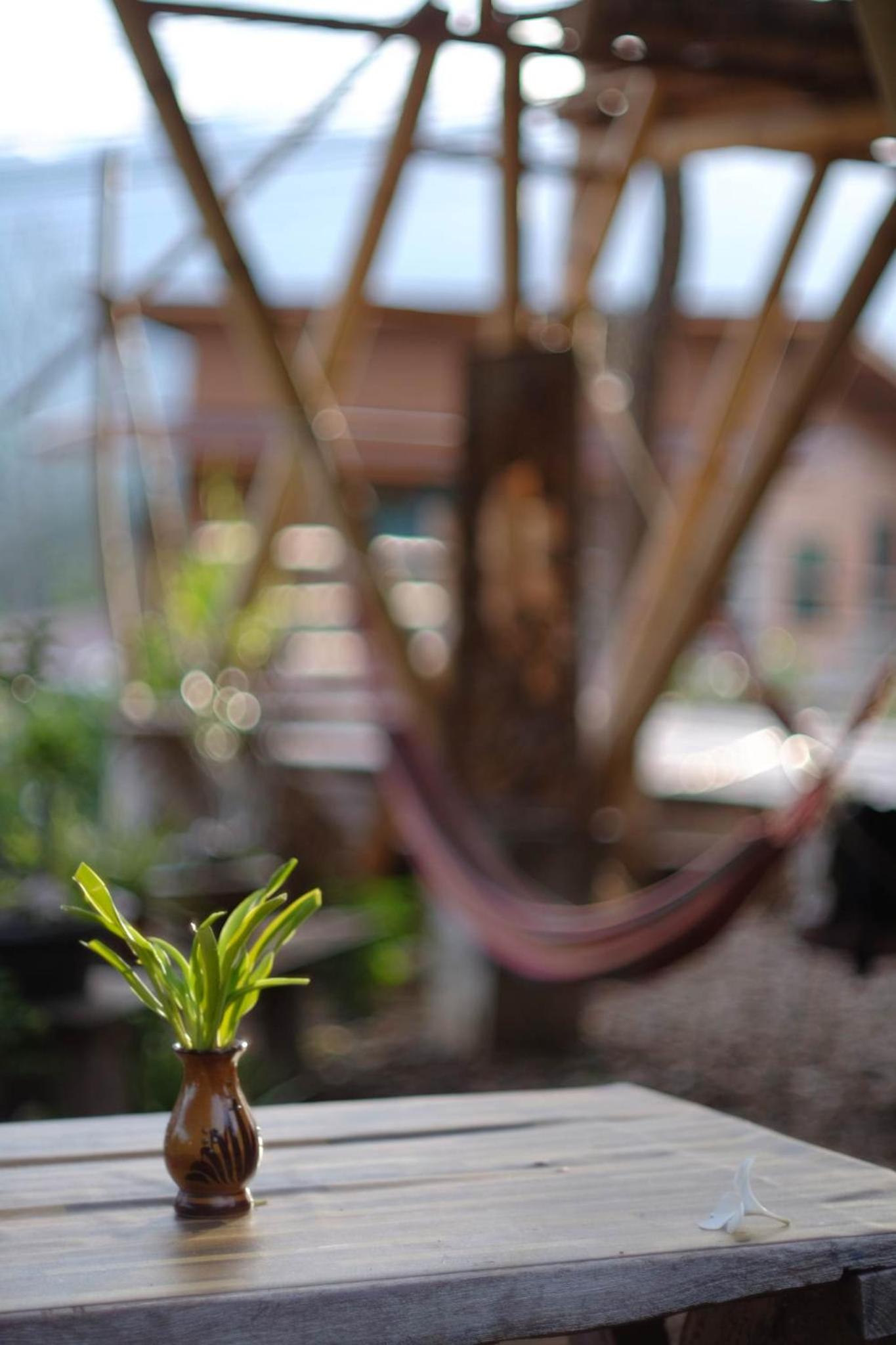 Chilling Hill Guesthouse