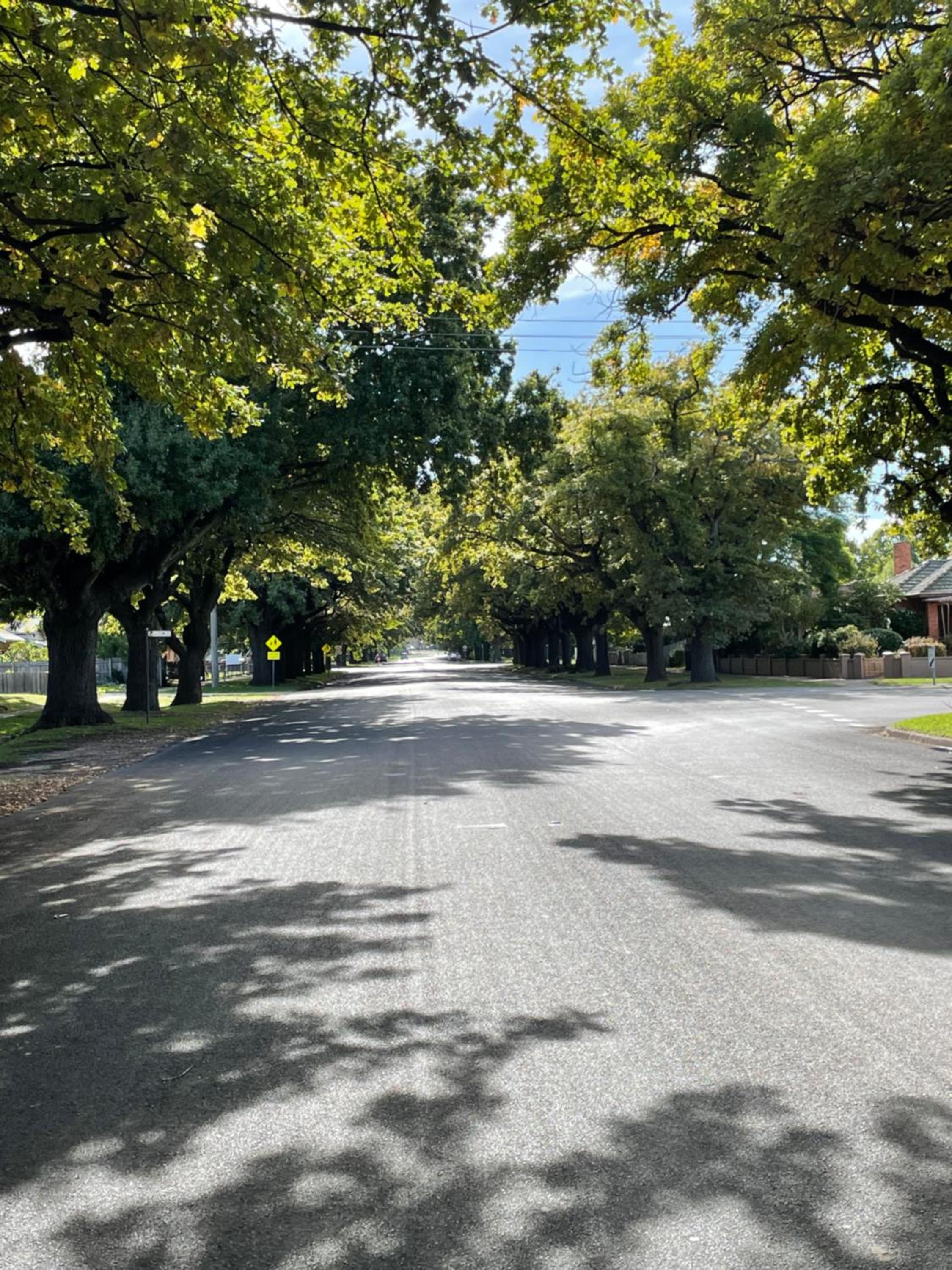 Old Maffra Cottage