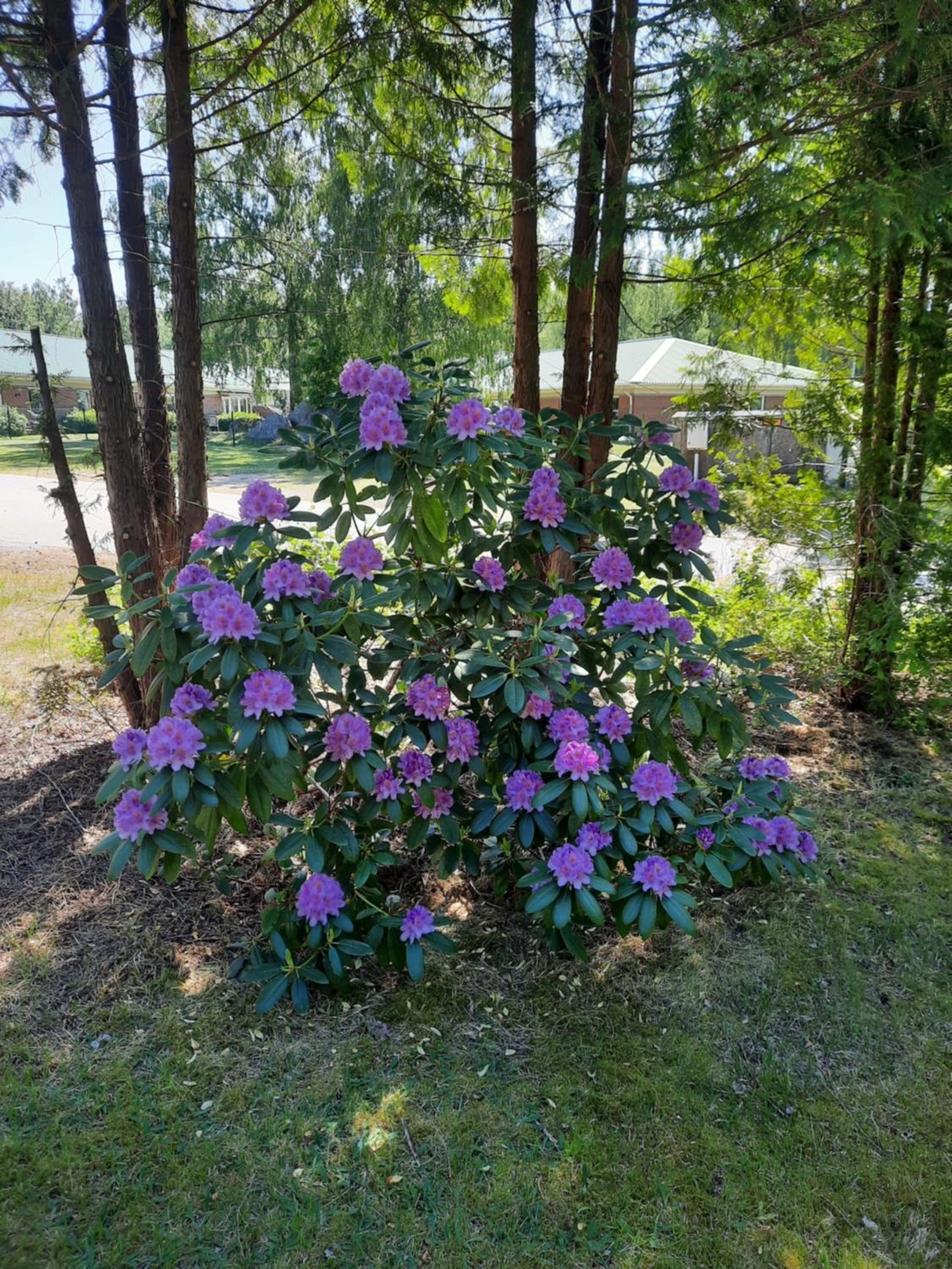 Hemtrevlig villa i Billingsfors