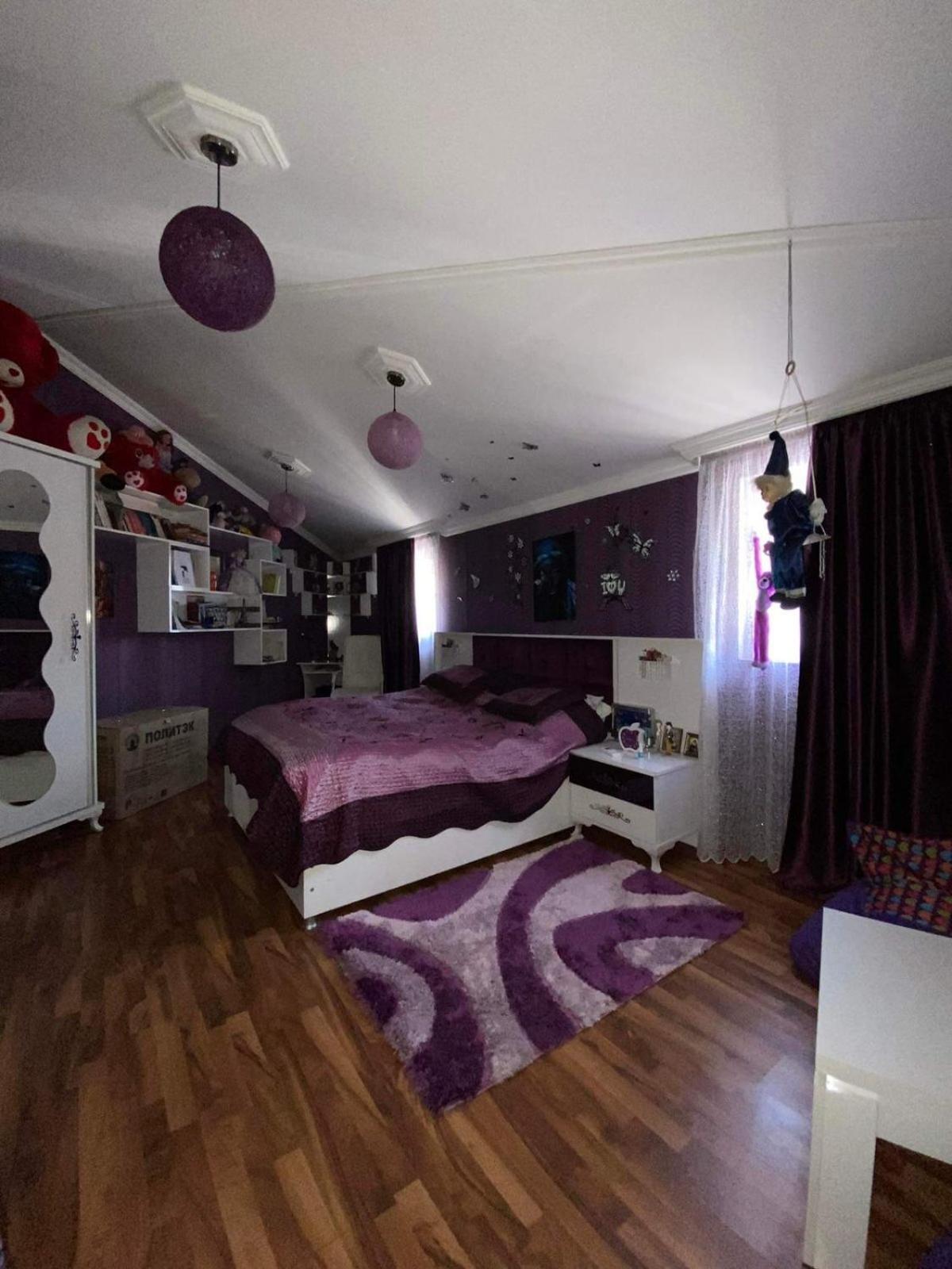 House on Pushkin str. view 3