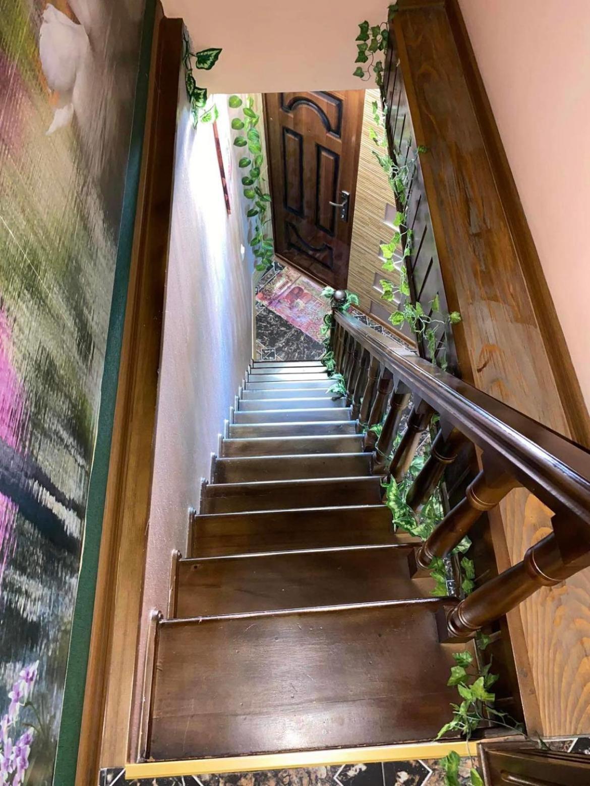 House on Pushkin str. view 5
