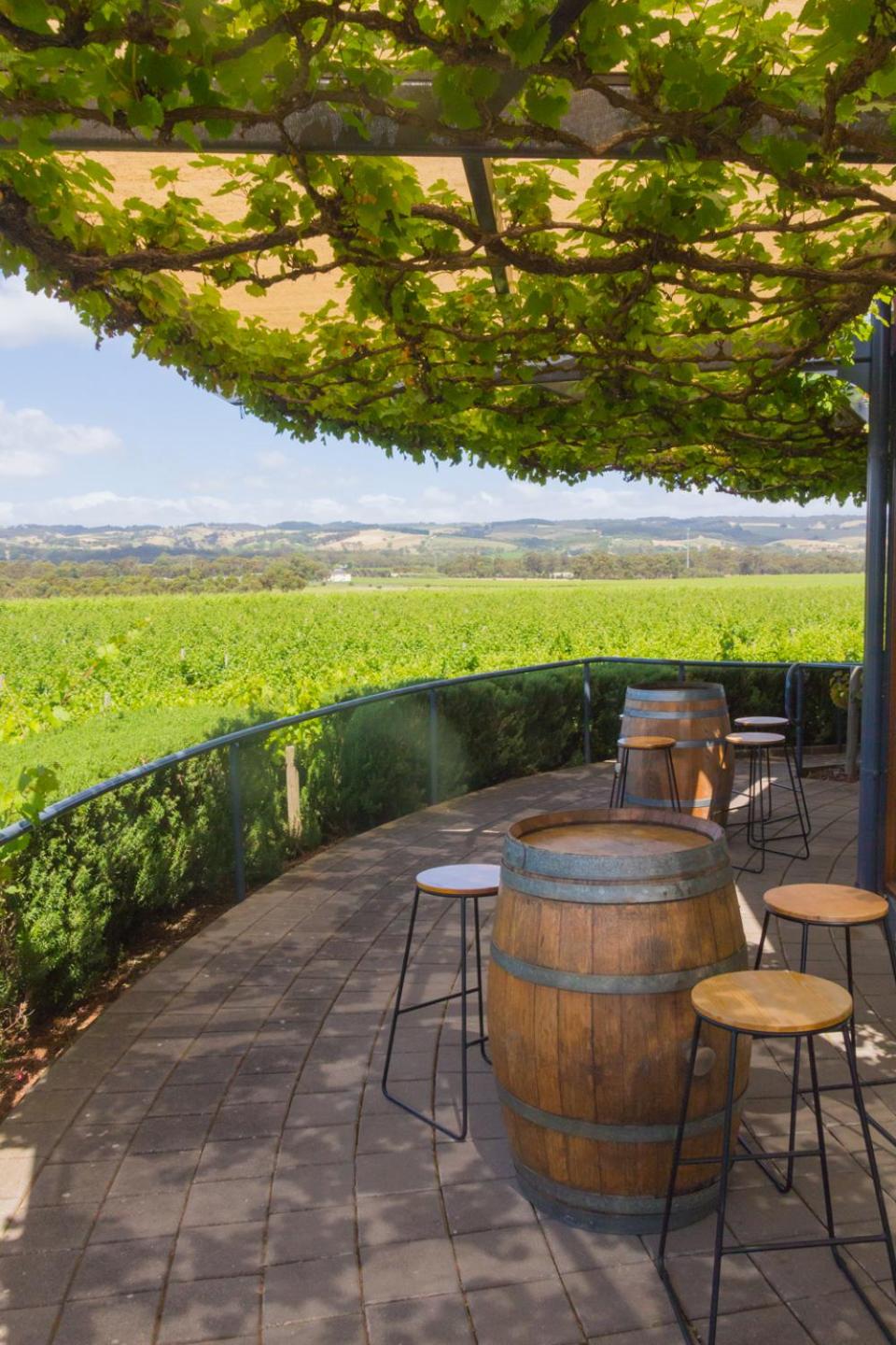 Photo 45