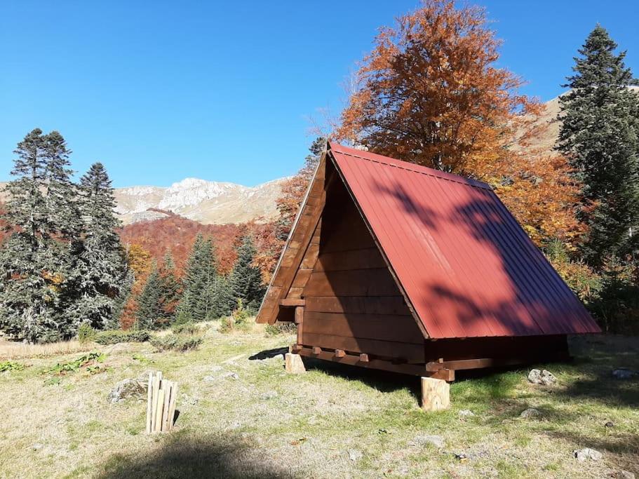 Domaćinstvo Pešića view 2