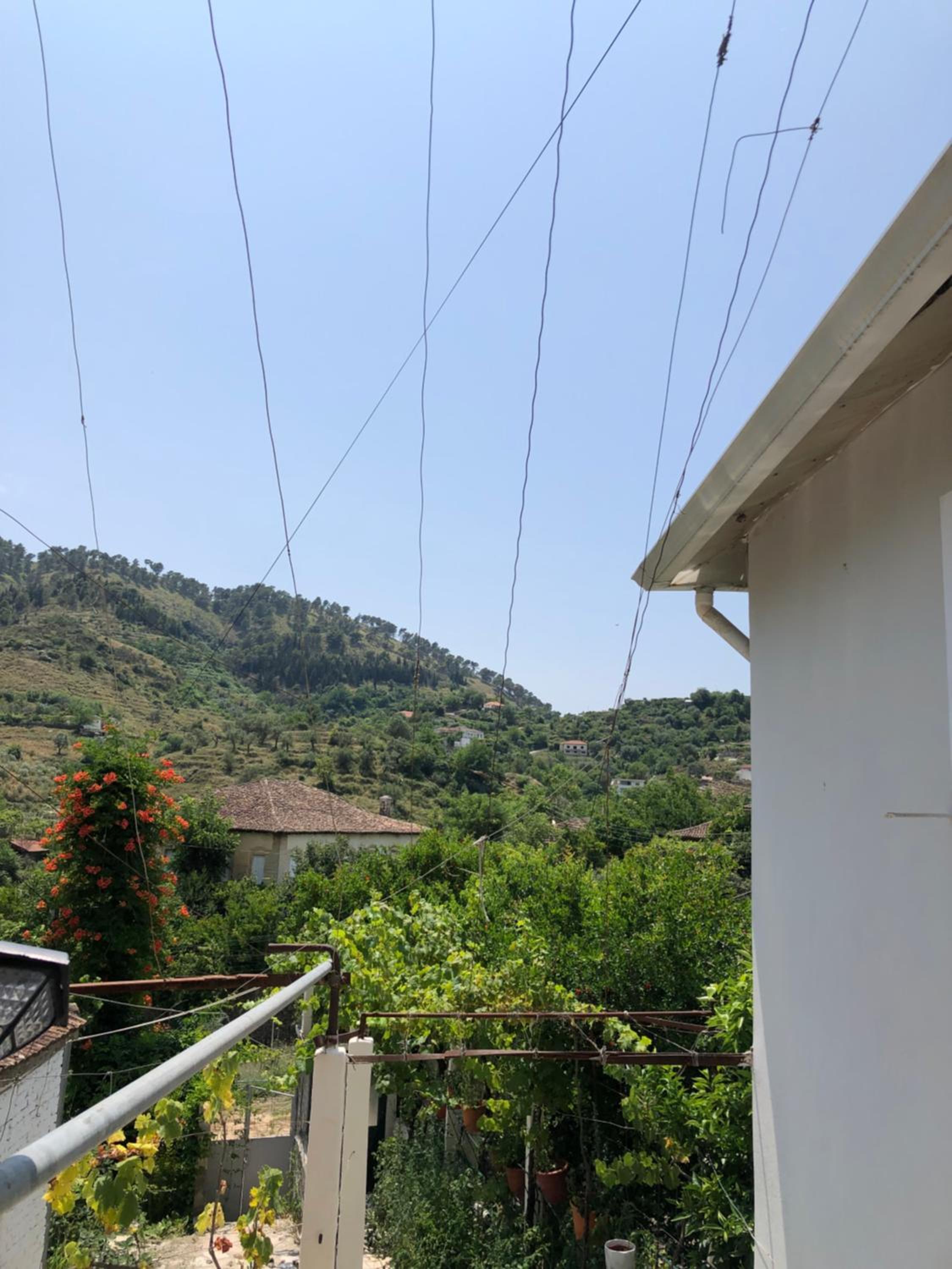 Lili's House
