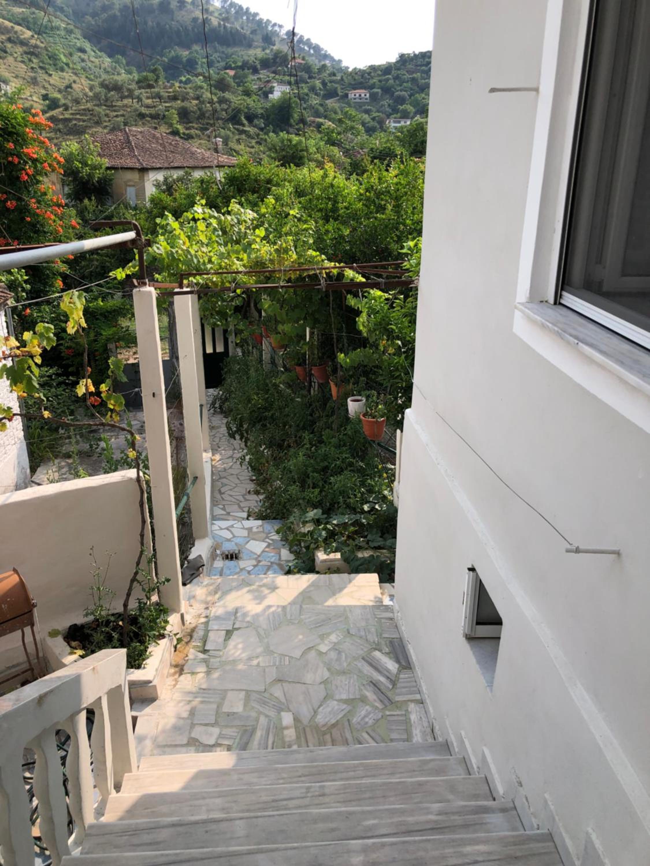 Lili's House