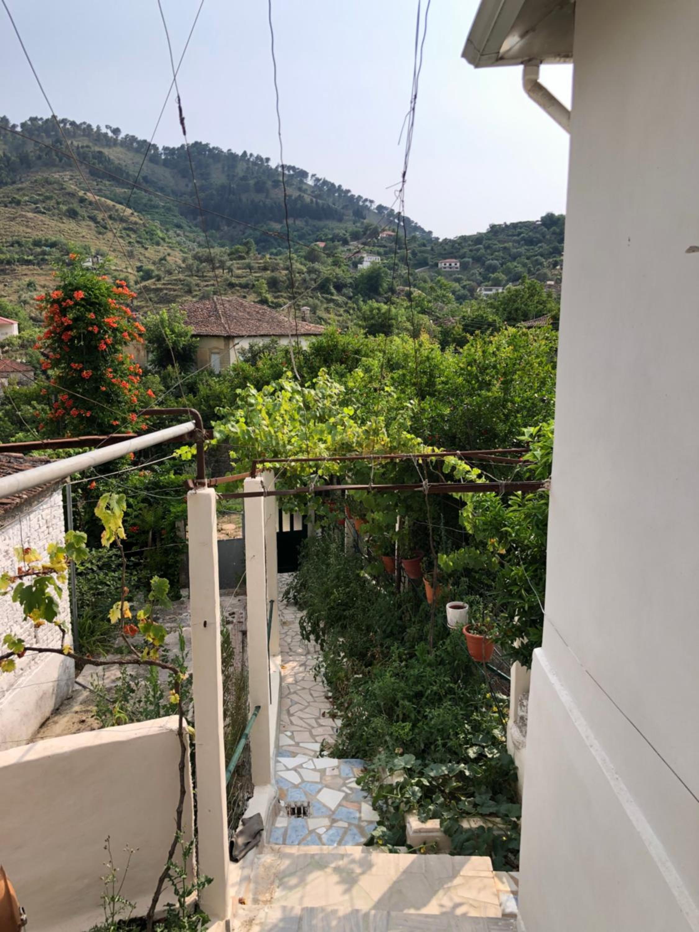 Lili's House