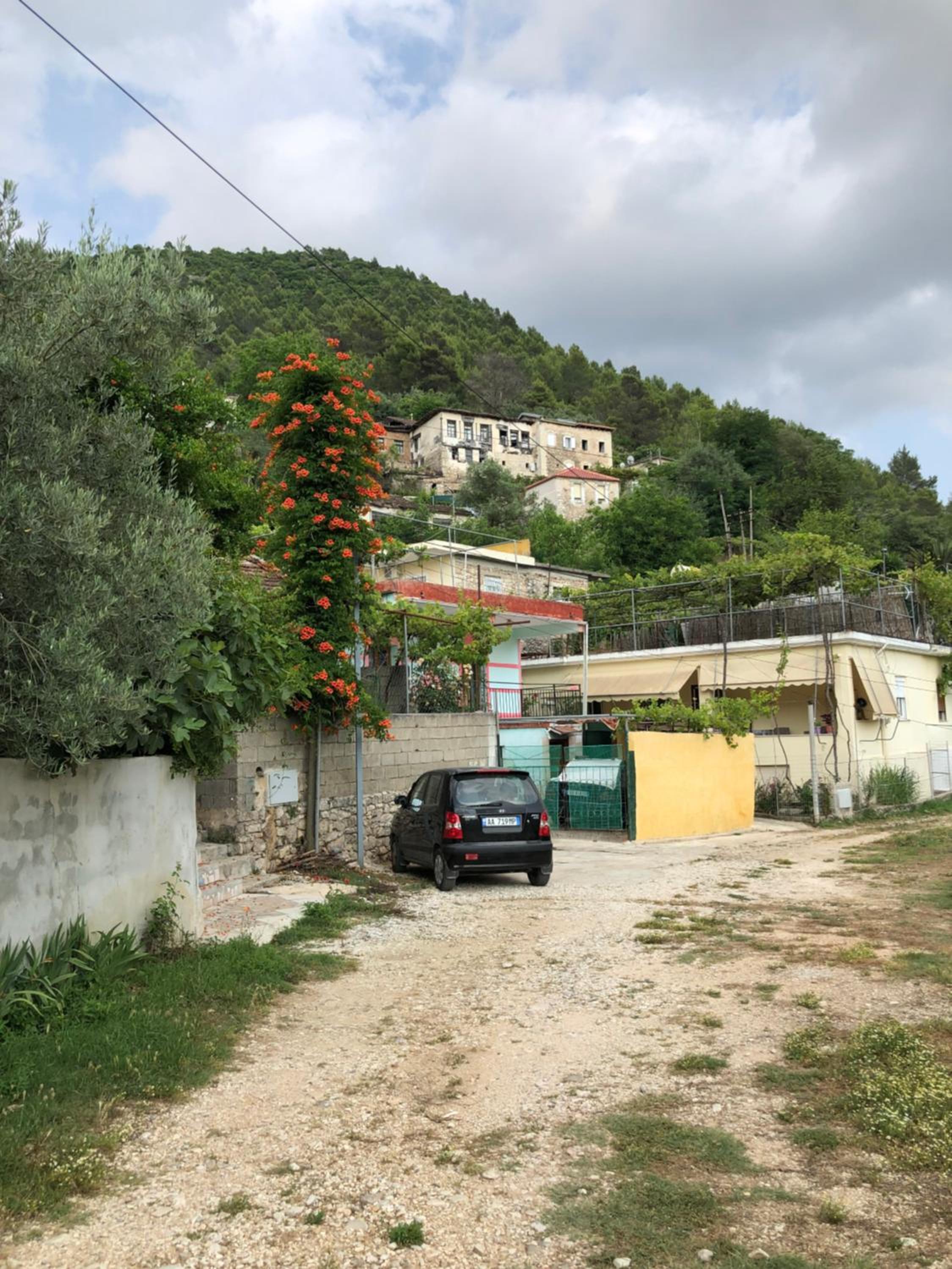 Lili's House