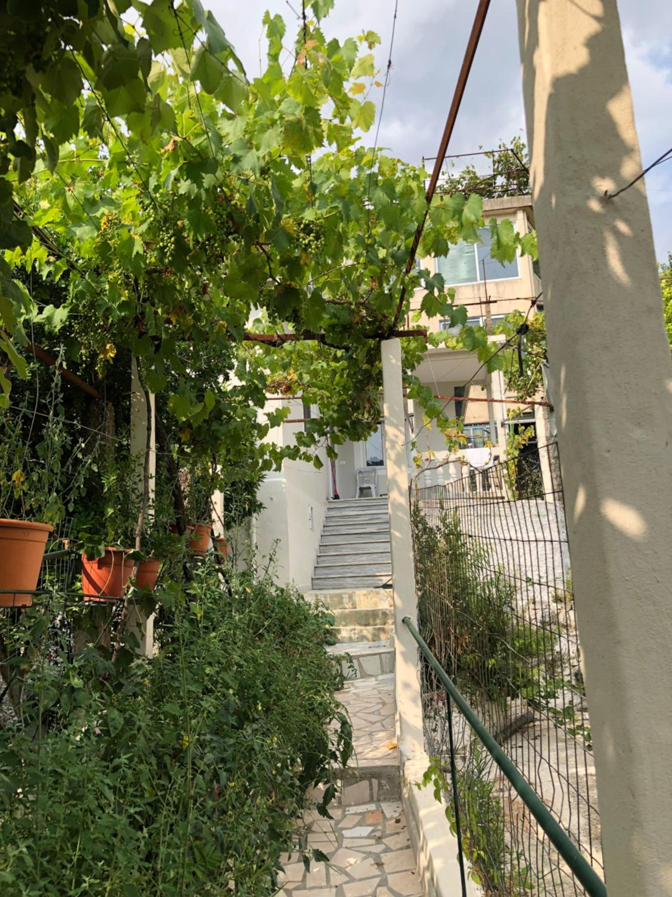 Lili's House