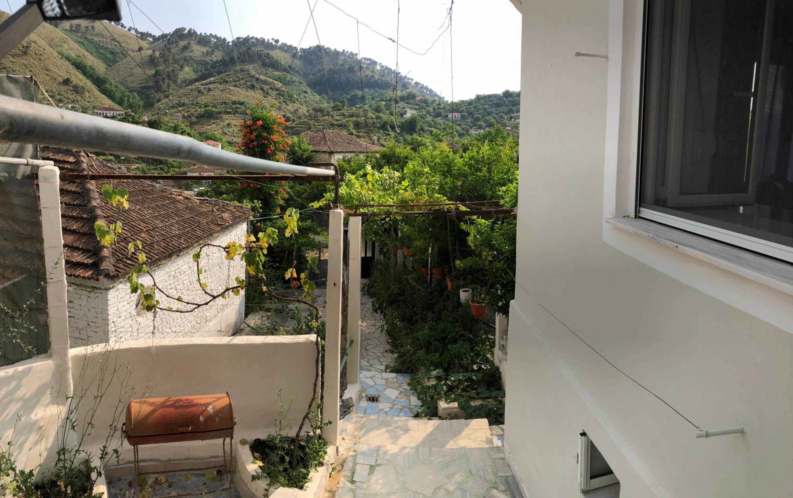 Lili's House