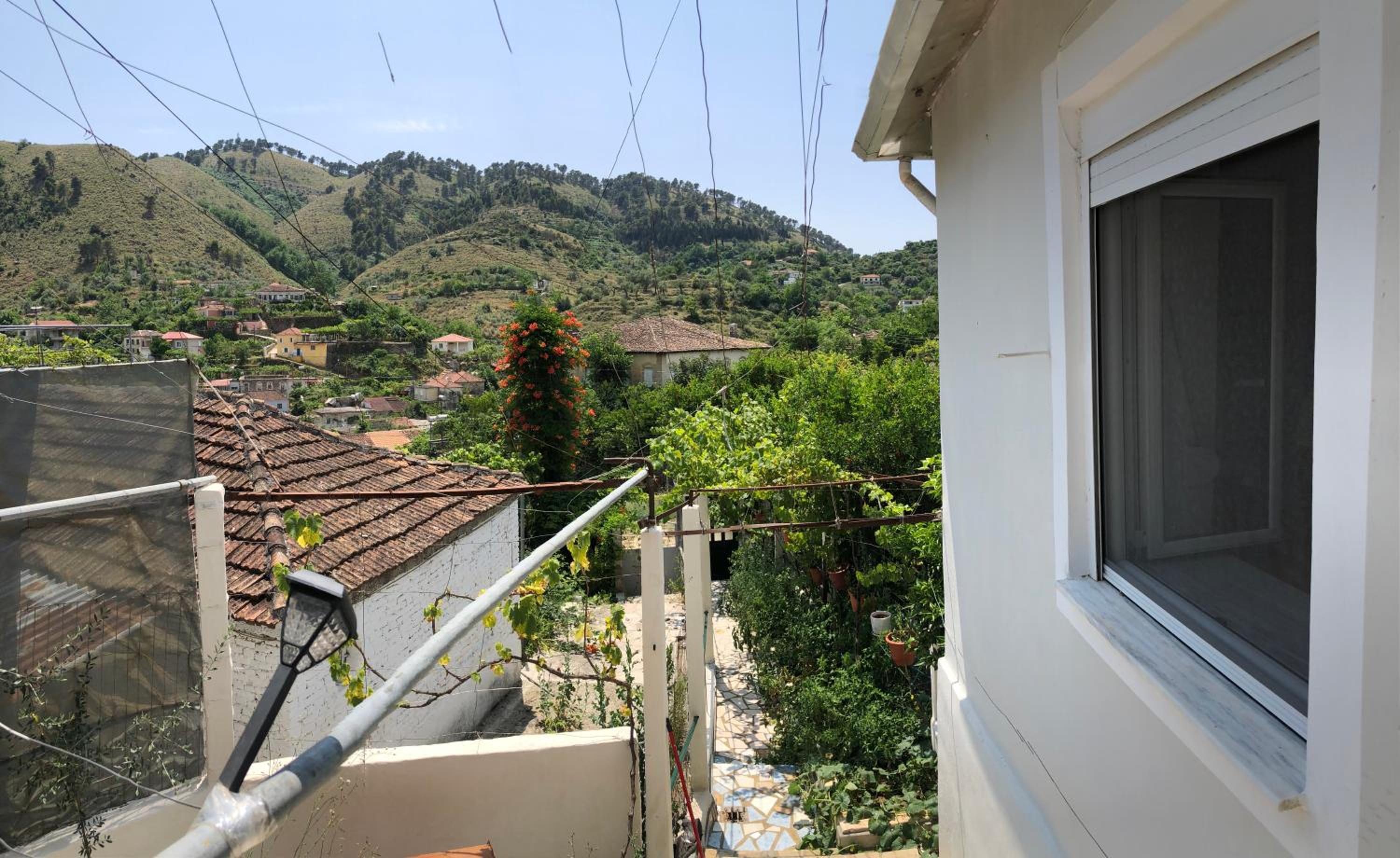 Lili's House