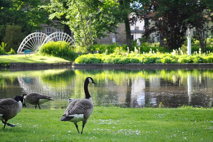 Parkblick Bad Driburg