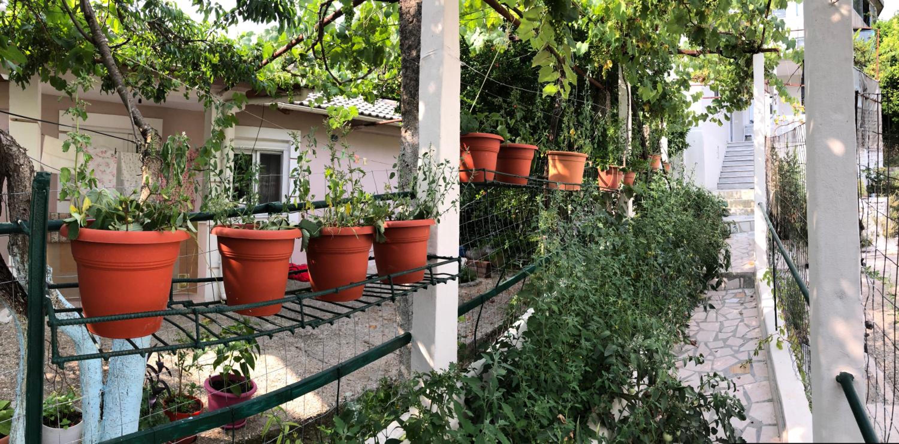 Lili's House