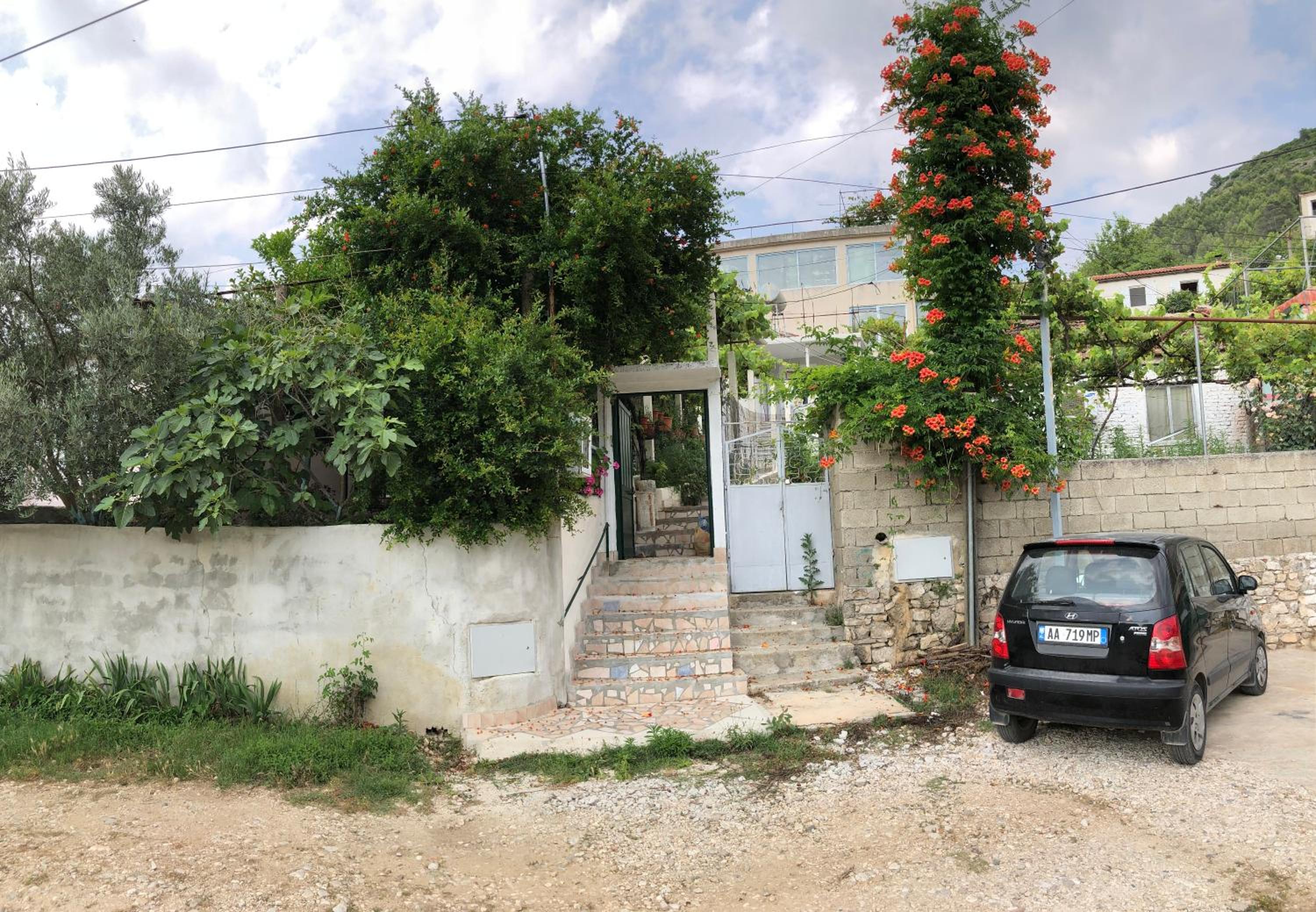 Lili's House