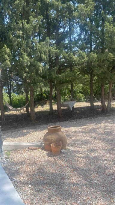 Triolo’s home - Castel di Tusa view 4