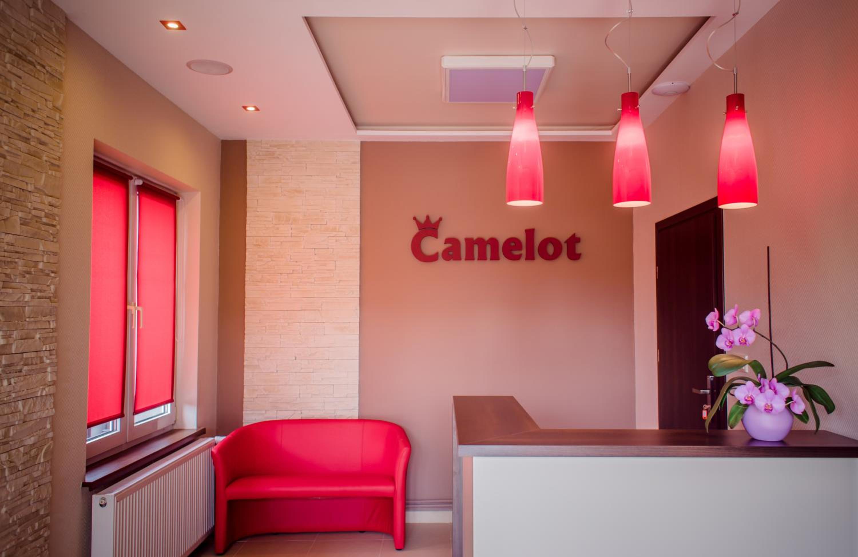 Camelot view 2