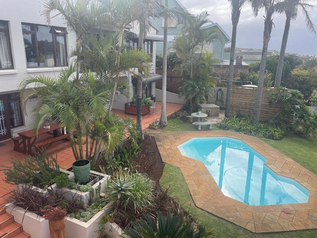 Lazydaze Point view 3