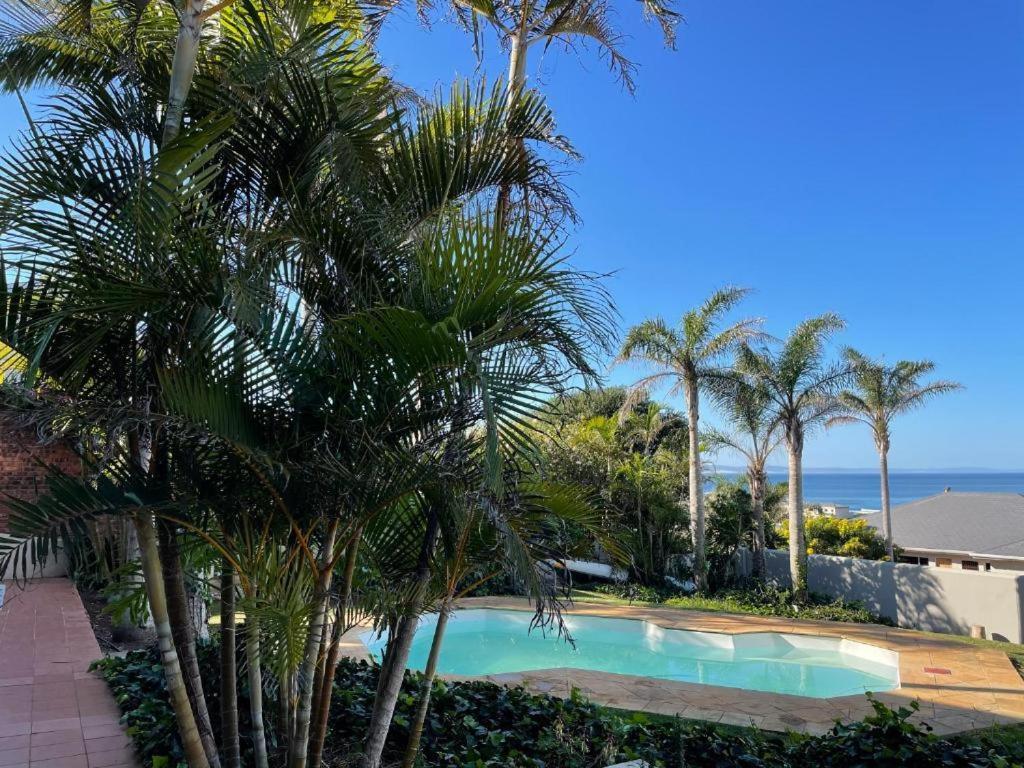 Lazydaze Point view 4