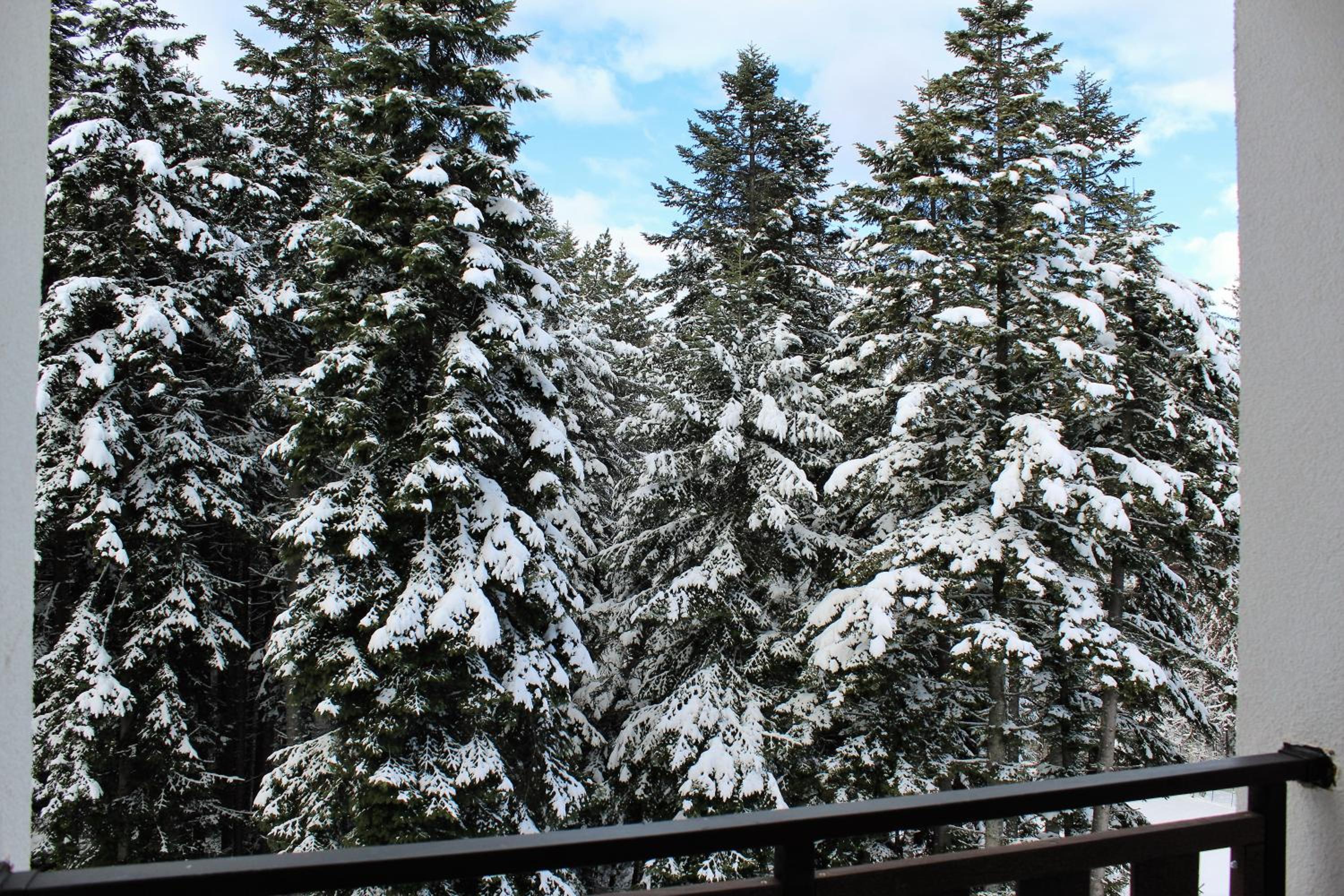 Alpine luxury two bed-two bathrooms apartment B25