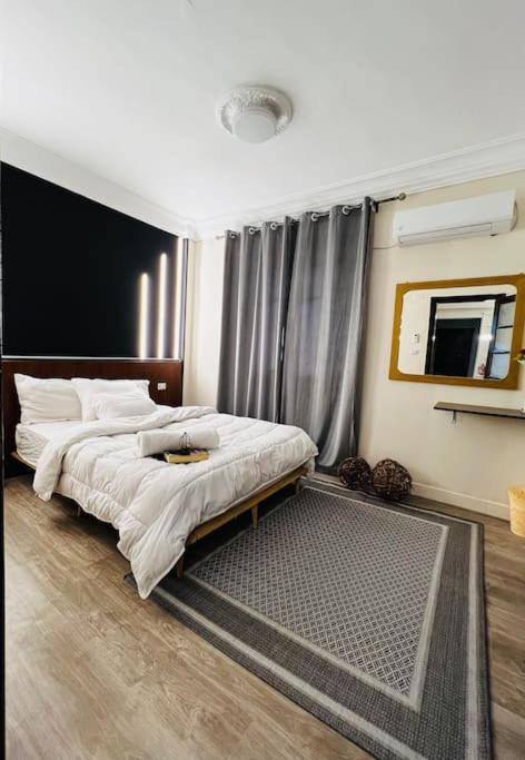 lovely apartment in Zamalek