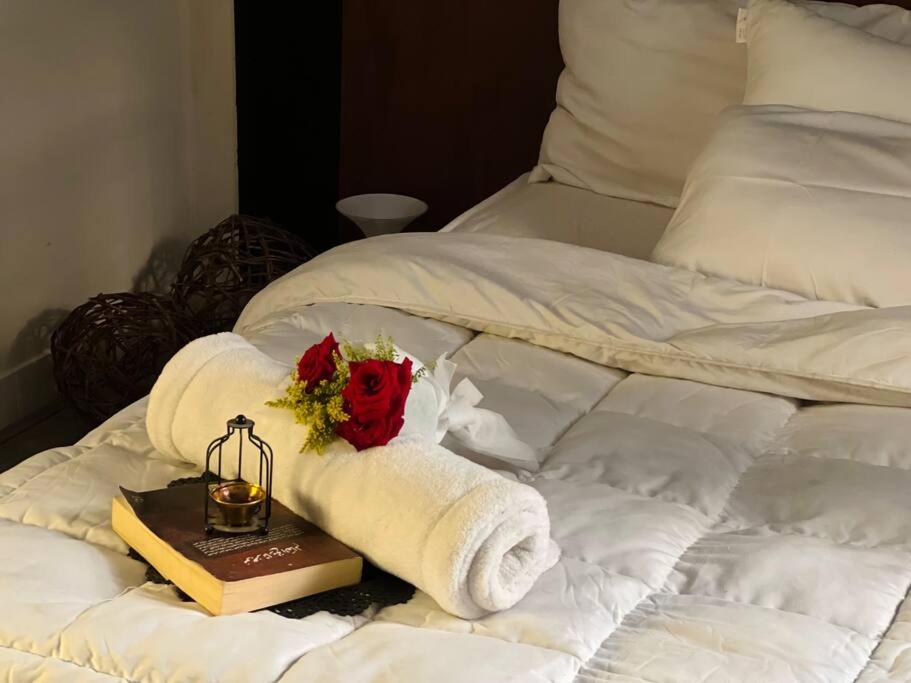 lovely apartment in Zamalek