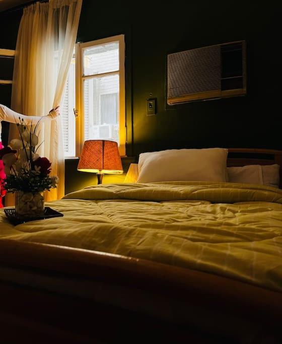 lovely apartment in Zamalek