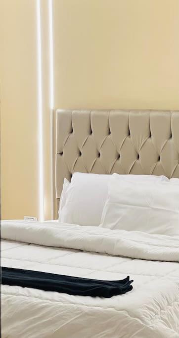 lovely apartment in Zamalek