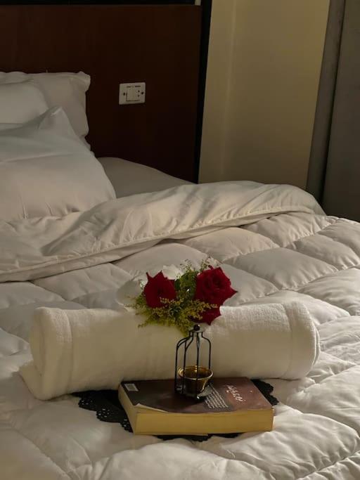 lovely apartment in Zamalek