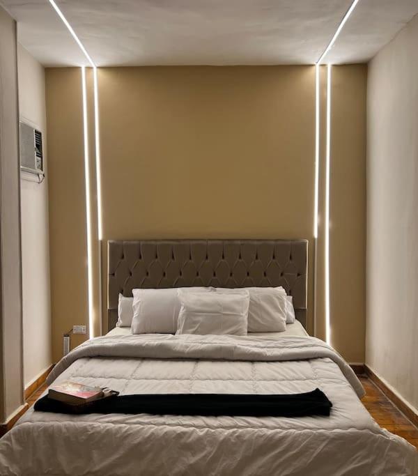 lovely apartment in Zamalek