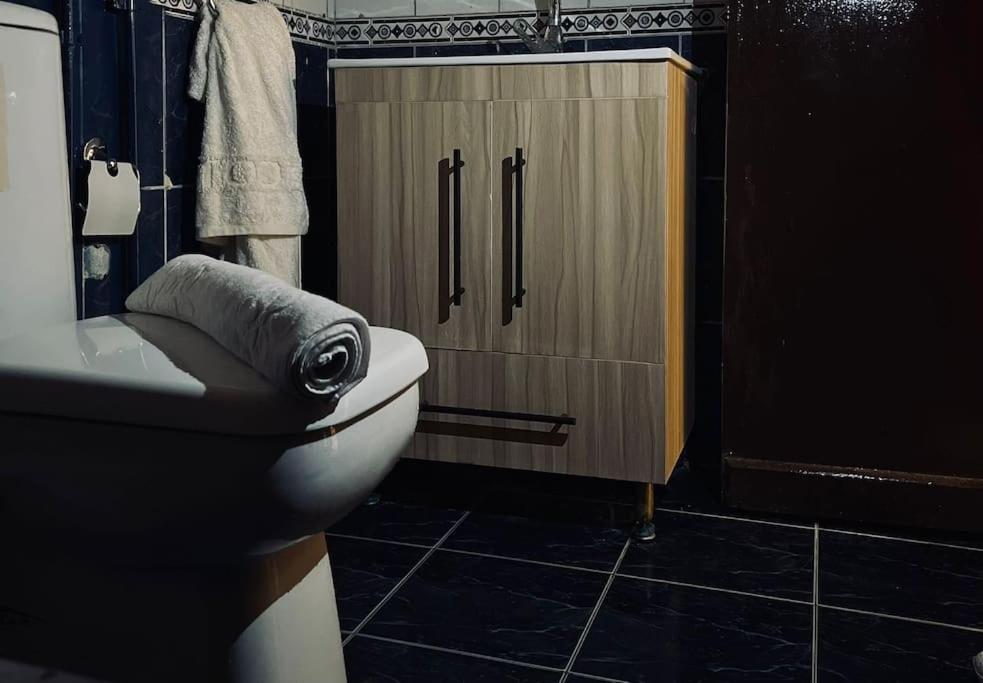 lovely apartment in Zamalek