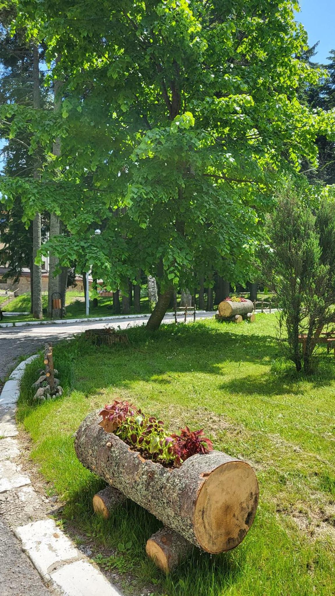 Alpine luxury two bed-two bathrooms apartment B25
