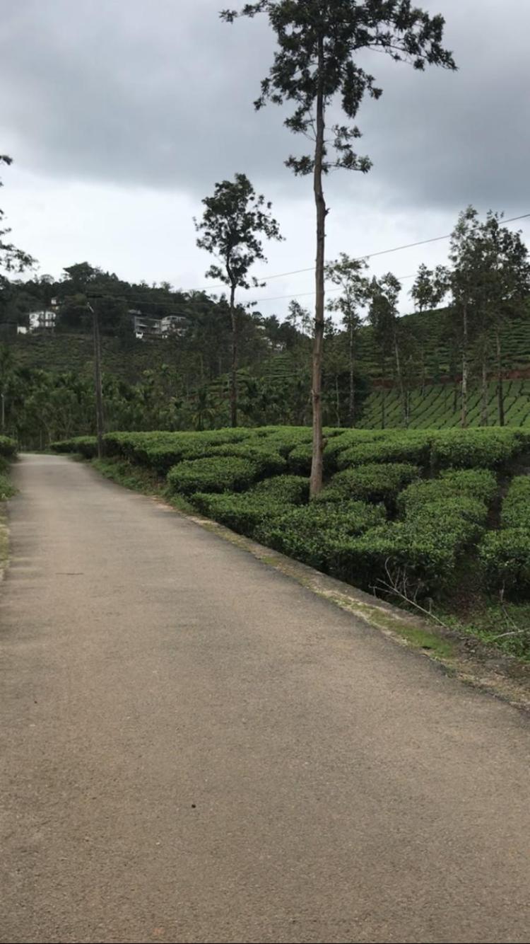 Greenfield Homestay