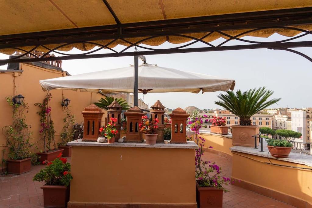 BrandNew House on the Terrace