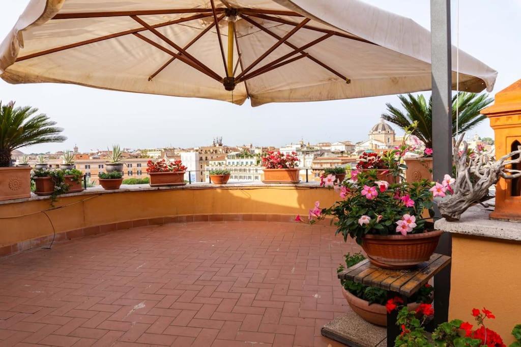 BrandNew House on the Terrace