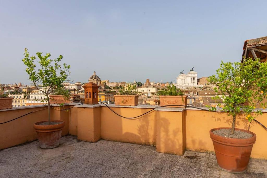 BrandNew House on the Terrace
