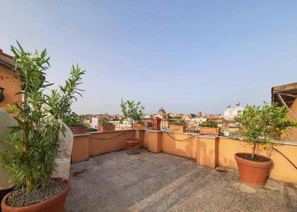 BrandNew House on the Terrace