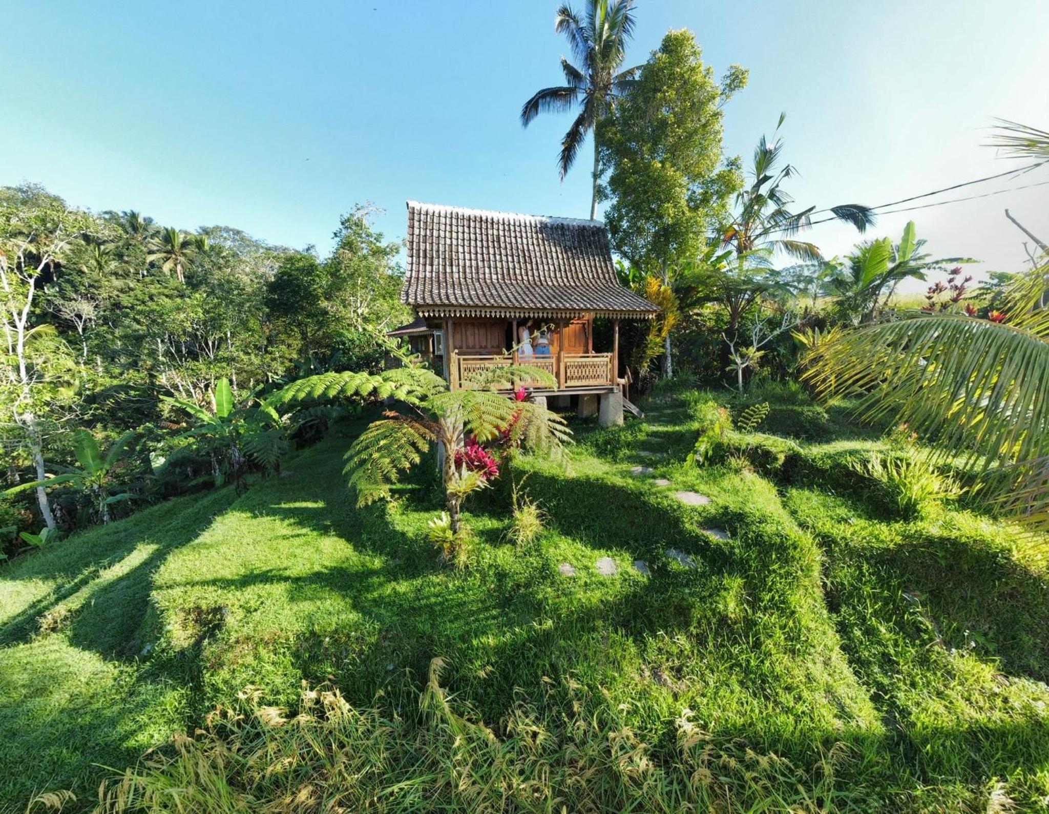 Photo 58