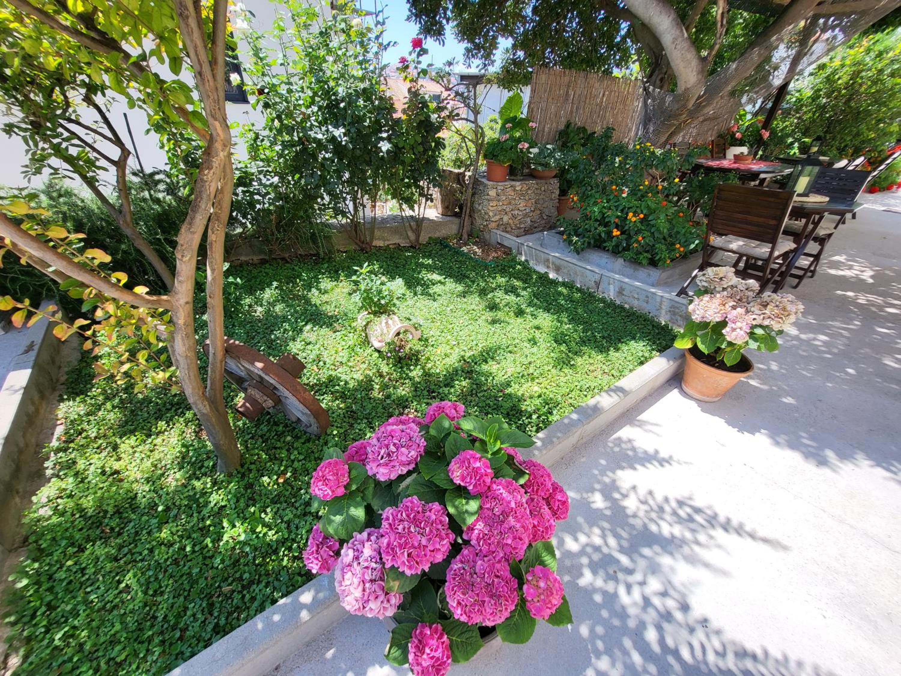 Photo 49 sur 113 de Apartments Miljas