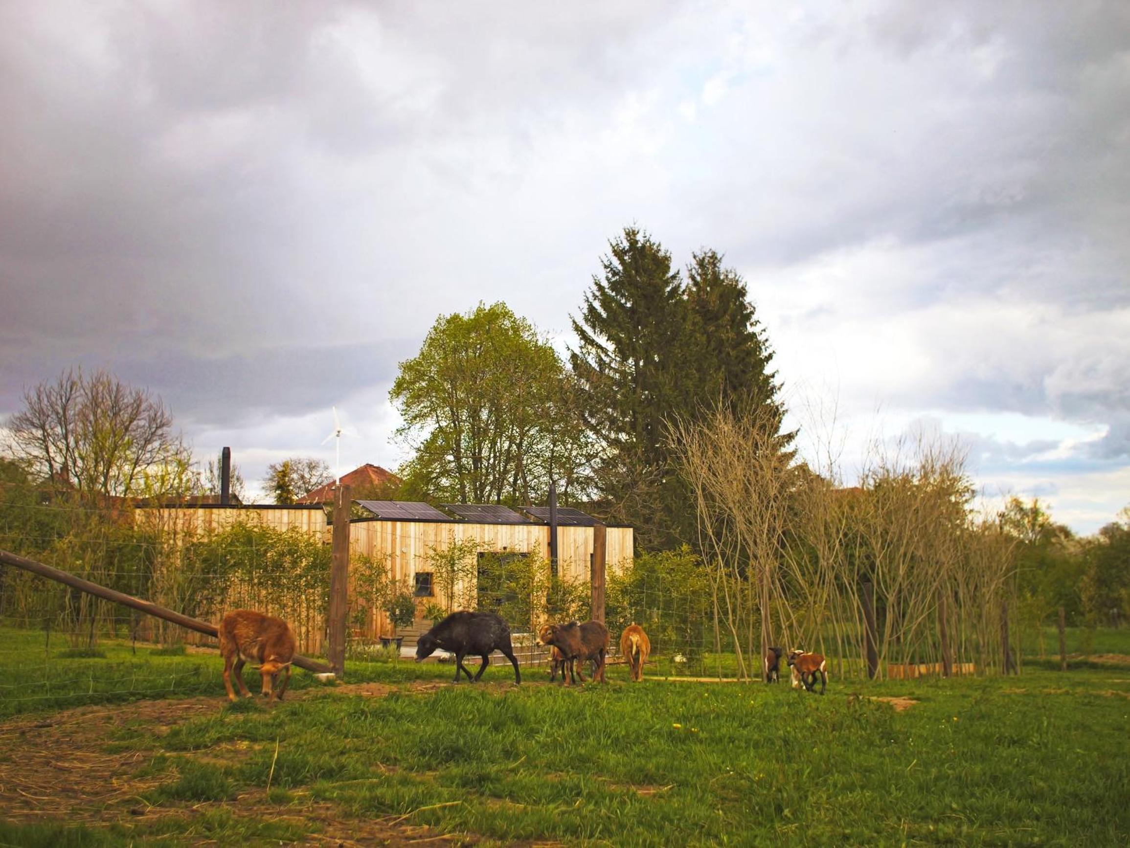 Casita Colombia - Glamping v Brdech - Příbram