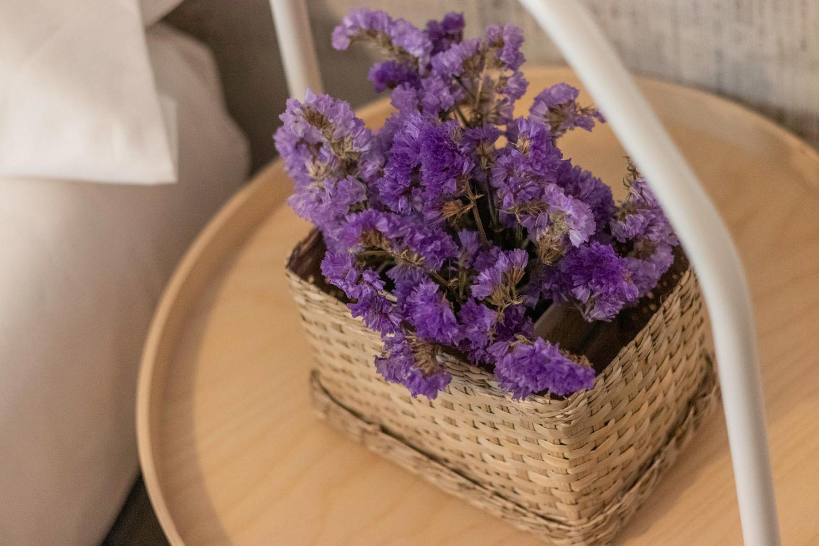 San Mames Termibus by Aston Rentals