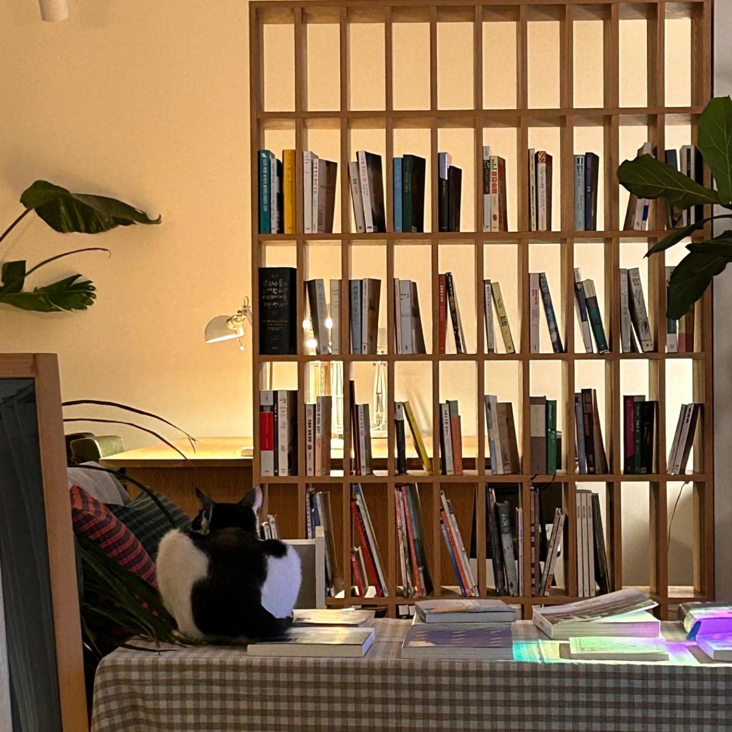 Hostel Espace