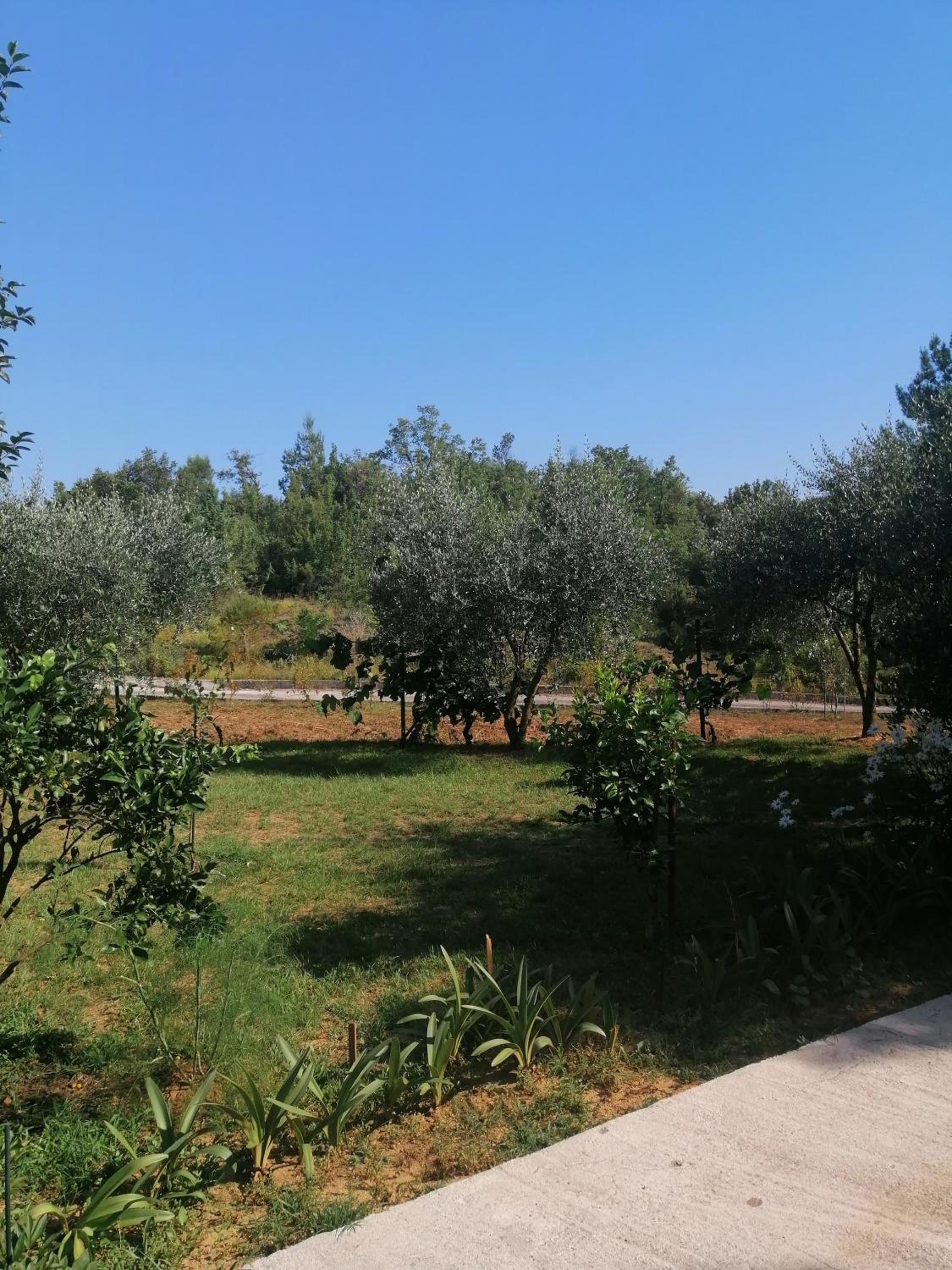 Apartman Petovic