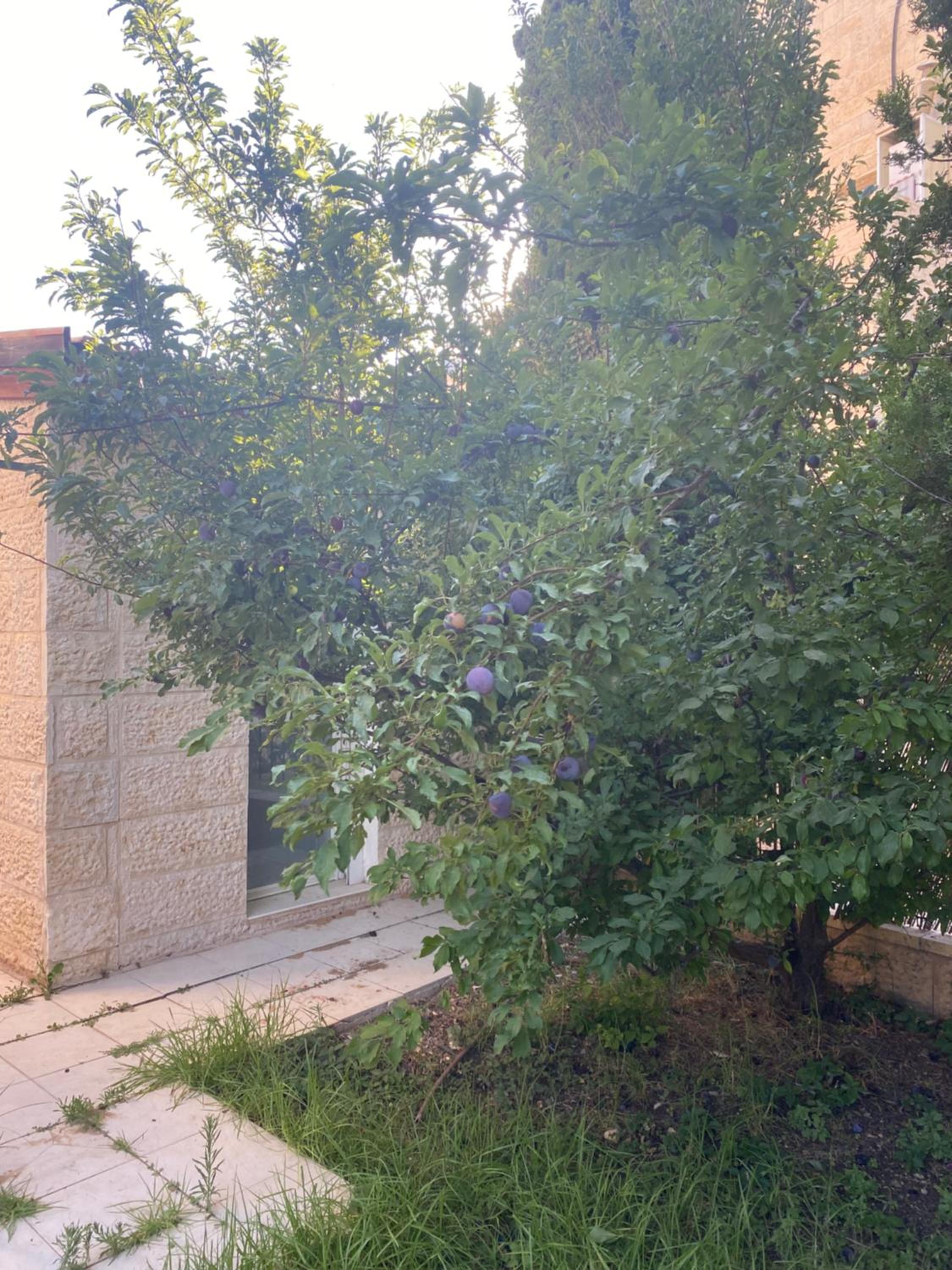 דירת גן מרווחת במיקום מעולה עם נטפליקס חינמי, fotografía 5