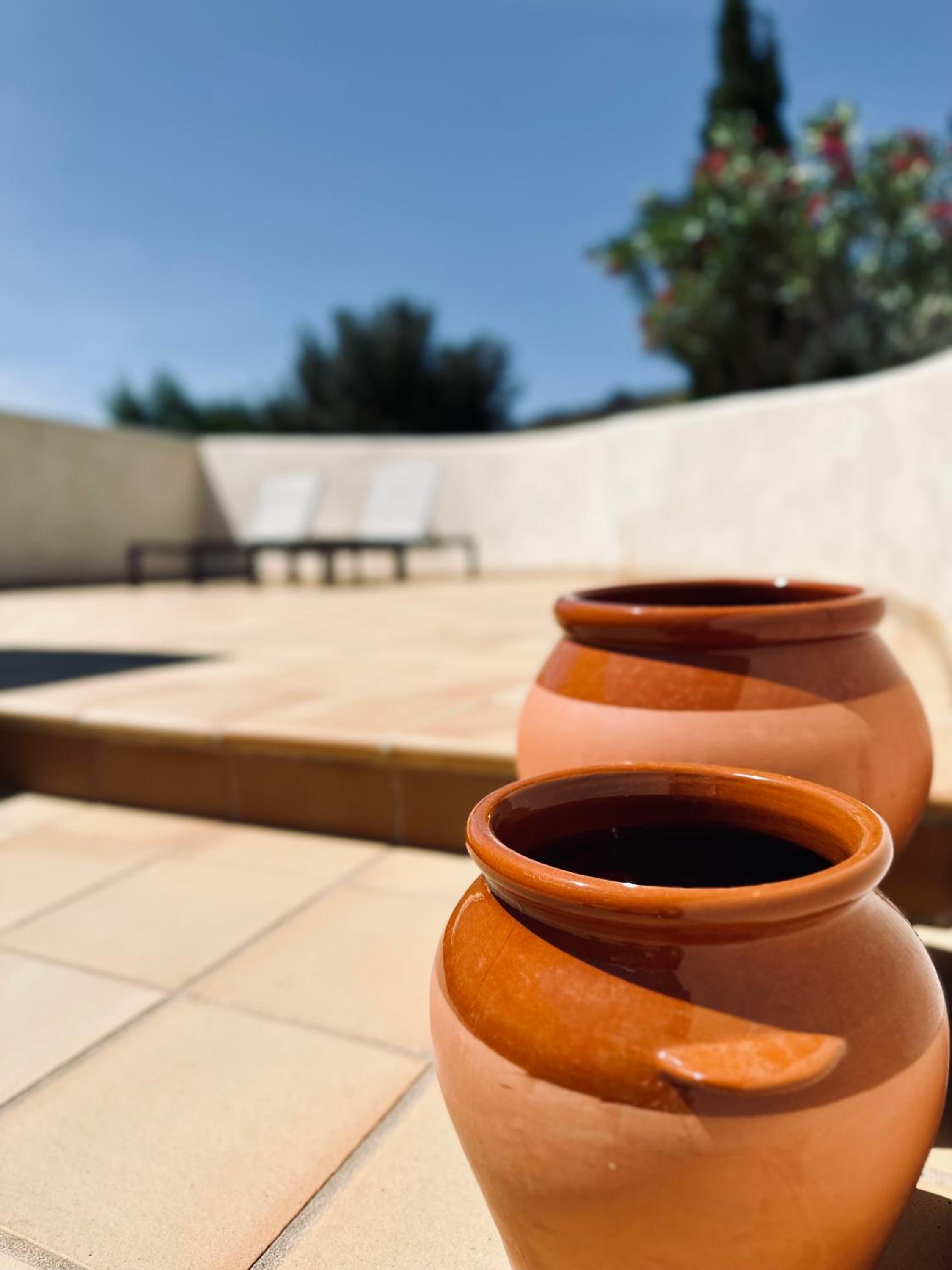 Finca Ocha - Calblanque view 3