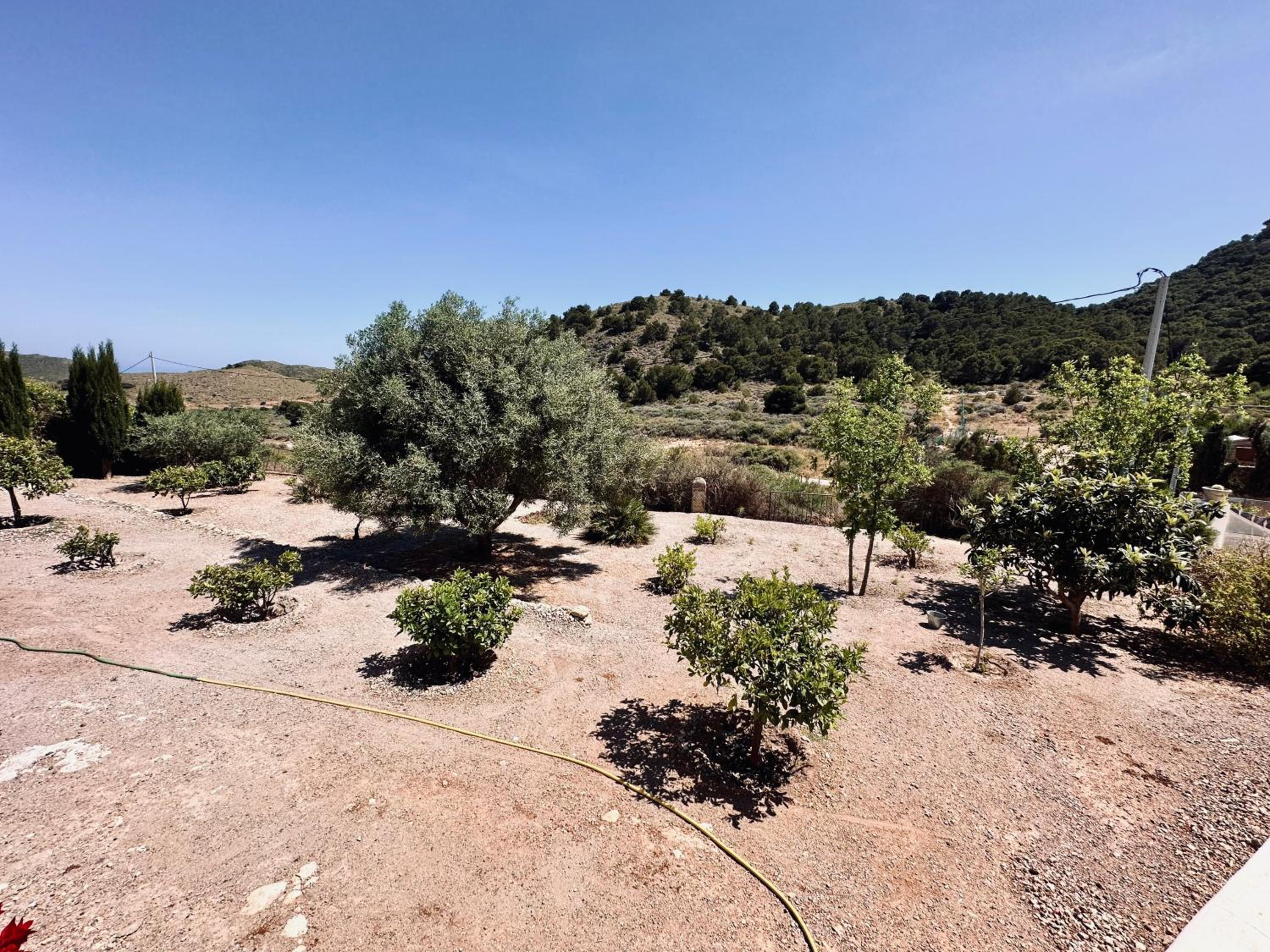 Finca Ocha - Calblanque view 5