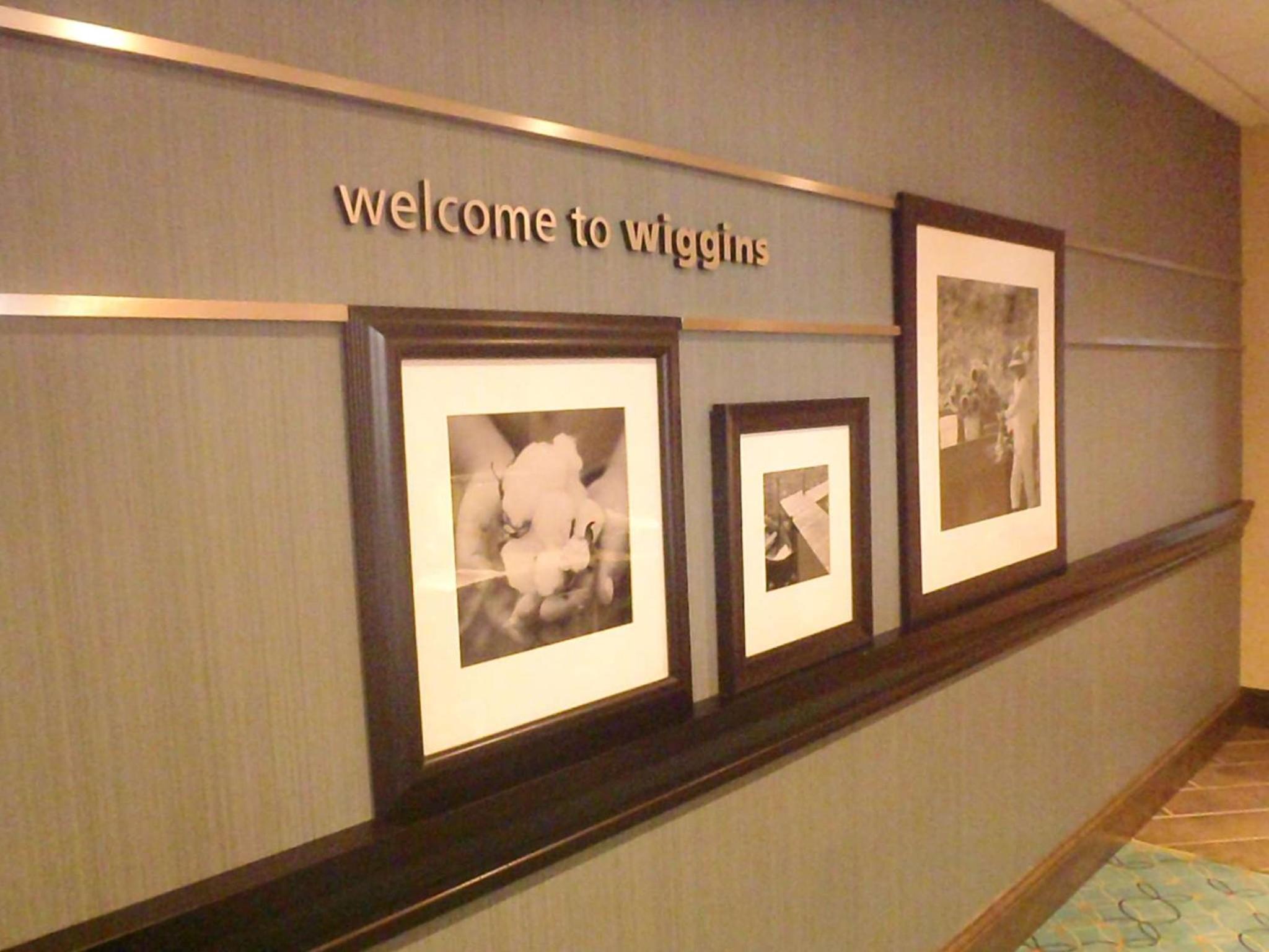 Hampton Inn & Suites Wiggins, 写真 26