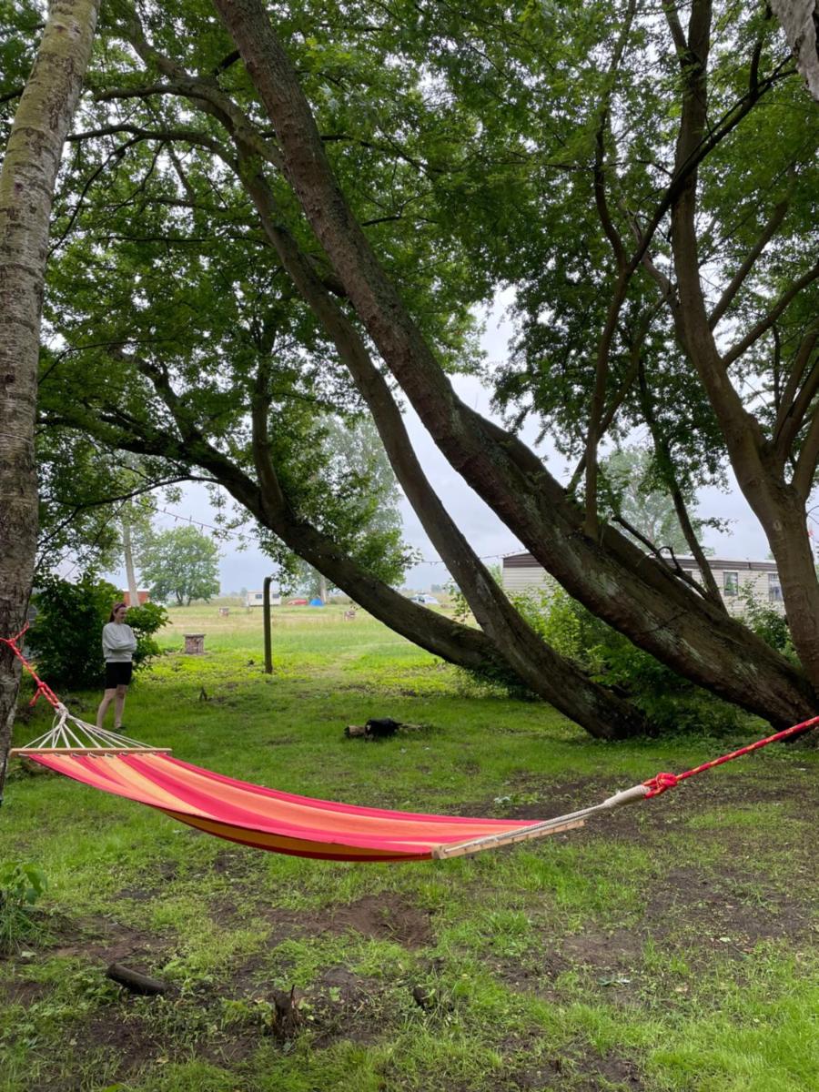 Camping Rogowo view 3
